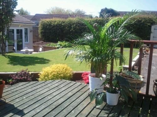 Premier Room 4 estrelas em Kelso