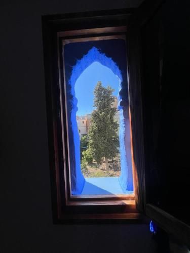 Casa Blue Star 2