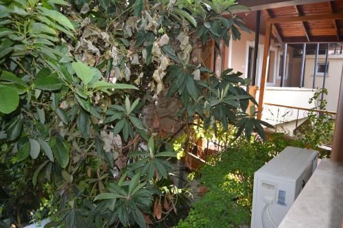 Osmanli Marco Pasha Hotel 2