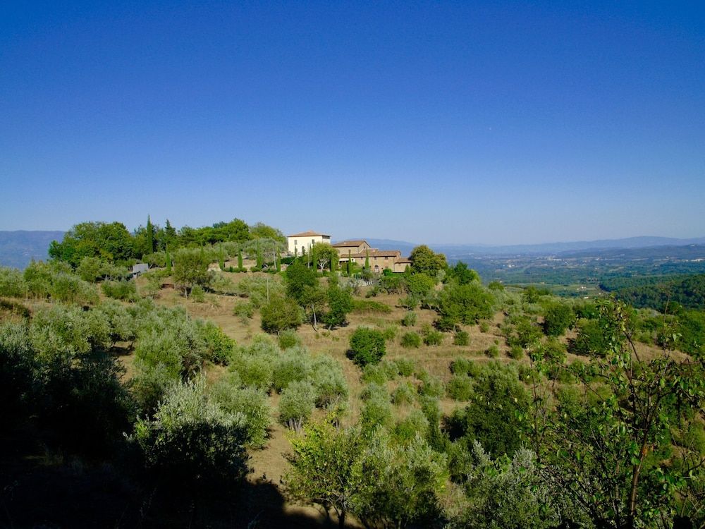 Ventena Vecchia Antico Frantoio 1