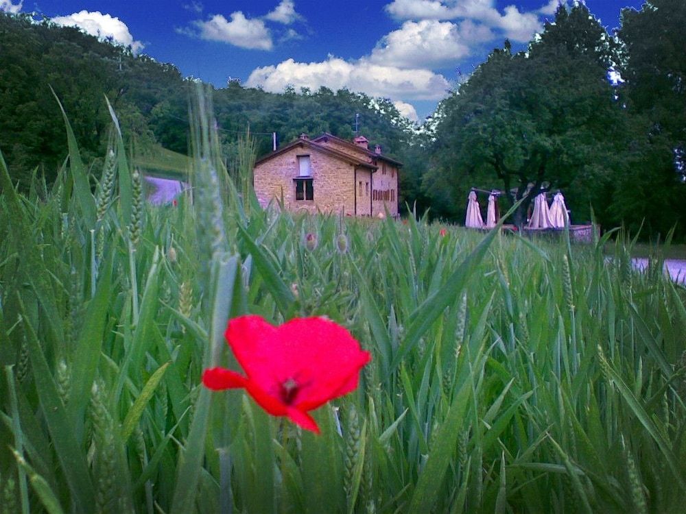 La Cartiera dei Benandanti 1