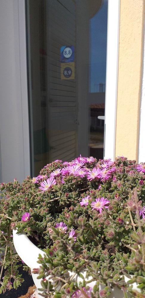 Residence Bellevue 2