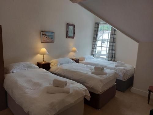 Lion Hotel Dulverton 2