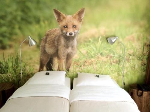 Hajé Restaurant de Aalscholver 2