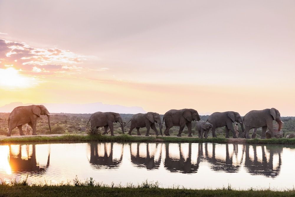 Jabulani Safari Relais & Chateaux -1 estrellas en Hoedspruit