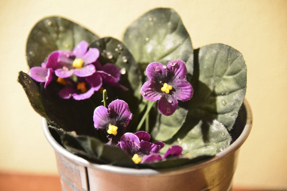 Casa di Campagna in Toscana 2