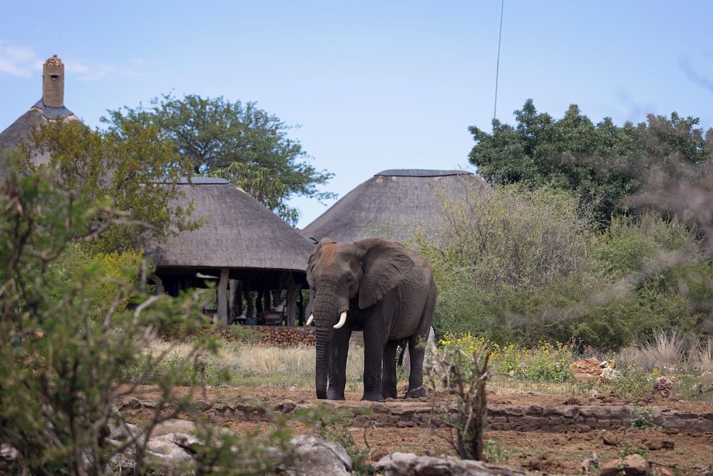 Rhulani Safari Lodge 3