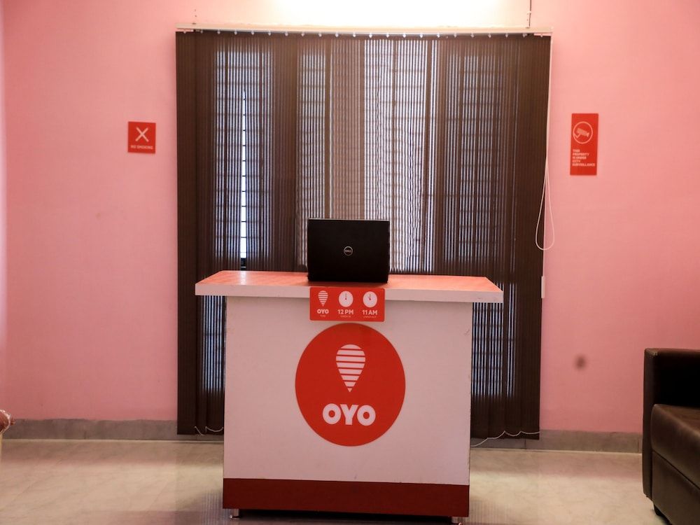 OYO 13746 Mint Leaves 2
