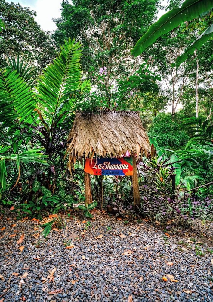 La Shamana Ecological, Concept in the Jungle 2