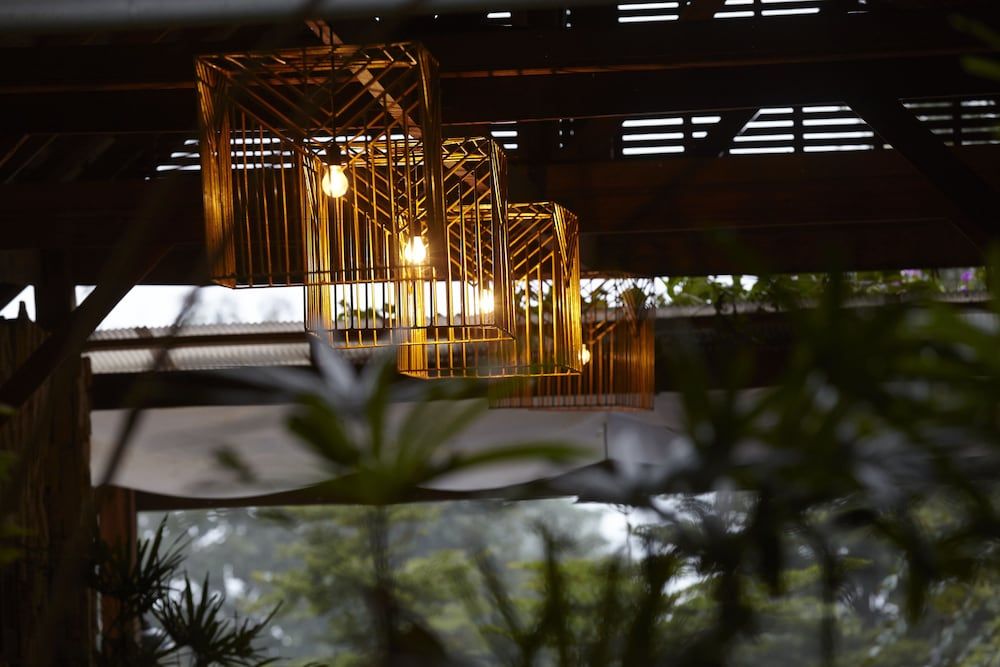 House of Love at Pai 2