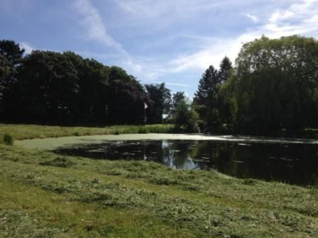 Whitethorn Bed and Breakfast 2