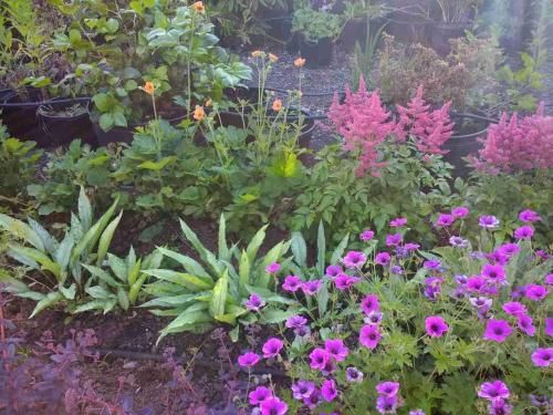 Brambles Bed and Breakfast 2