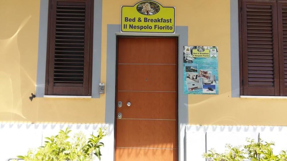 Il Nespolo Fiorito 2