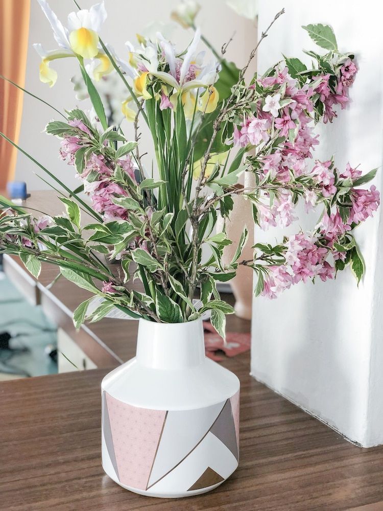 Alba B&B Appartamenti 3