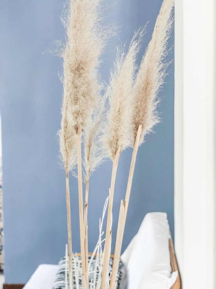 Alba B&B Appartamenti 2