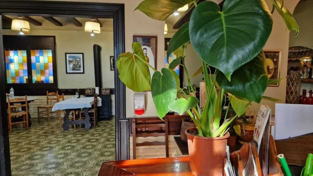 Hotel Restaurant El Bosc 2