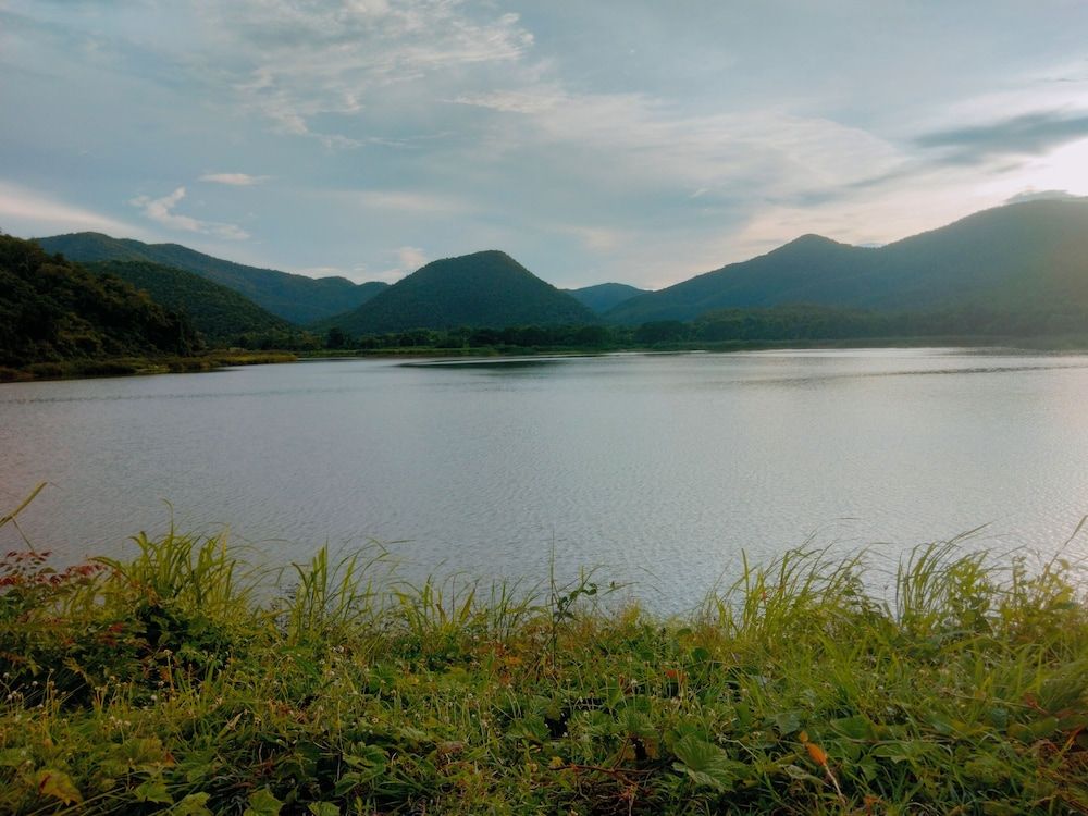 Moutain View Guest House