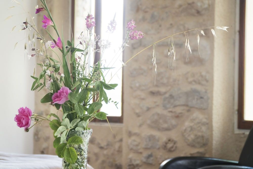 Le Mas des Romarins 3