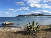 Cavalli di S'Arcaite