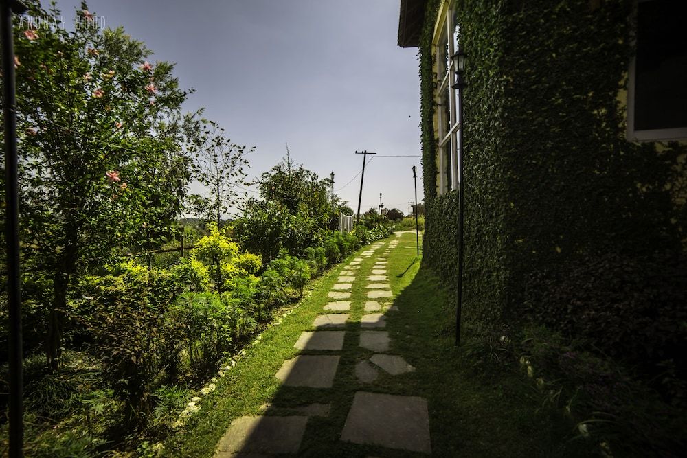 Seclude Palampur - Himachal Pradesh 2