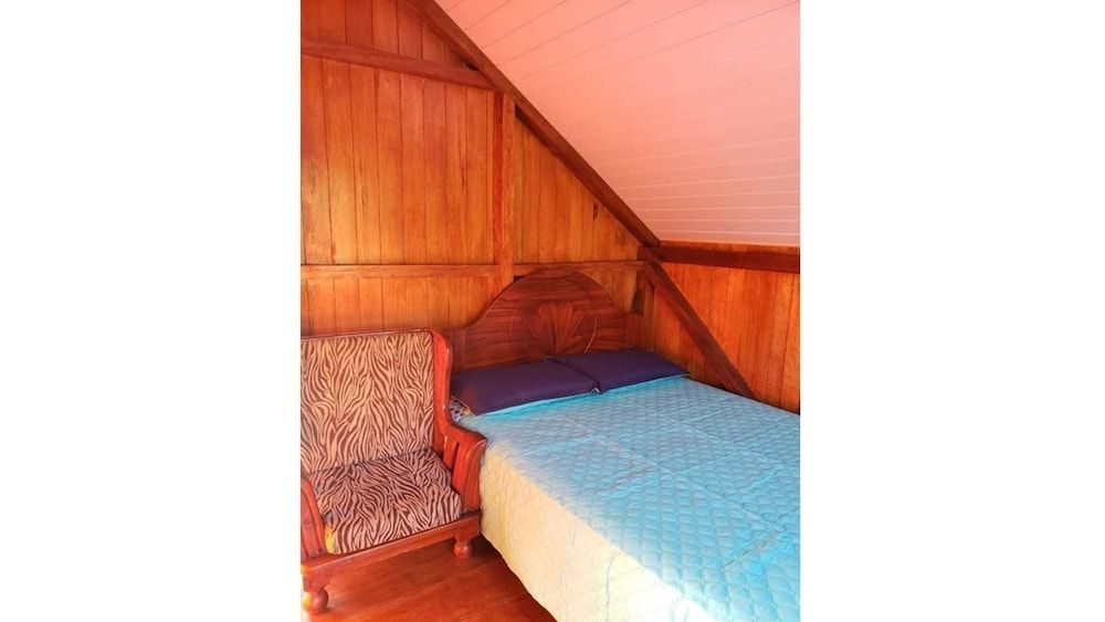 La Quinta Primavera 3