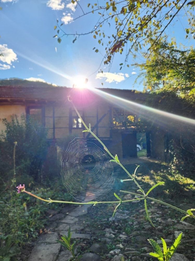 Little River Guest House 3