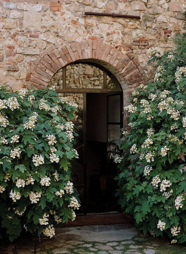 Castello Di Vicarello 2