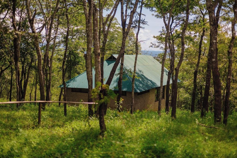 Mikumi Safari Lodge 2