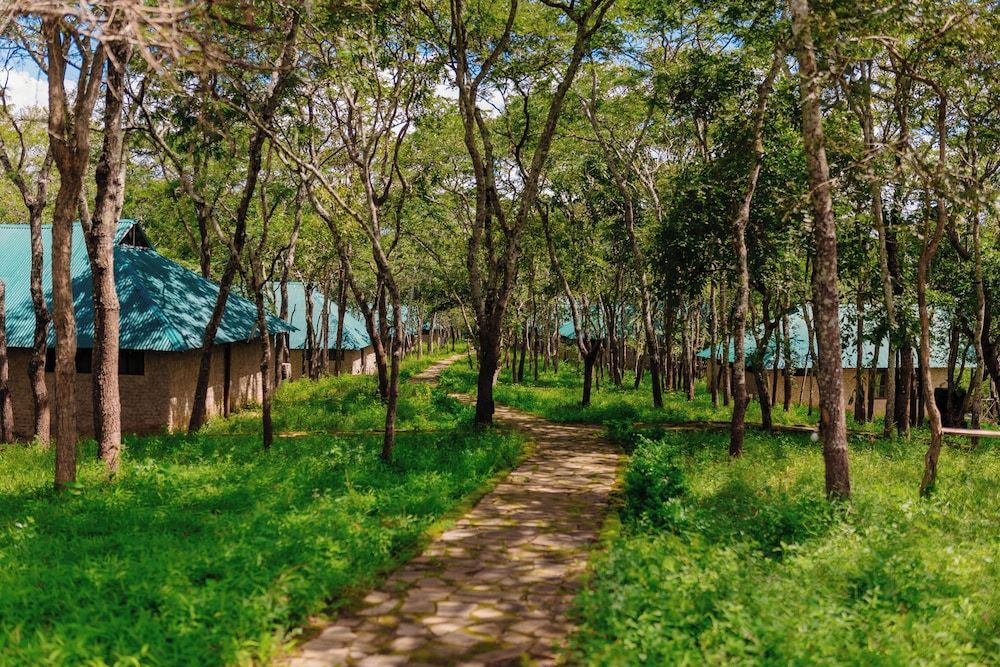 Mikumi Safari Lodge 3