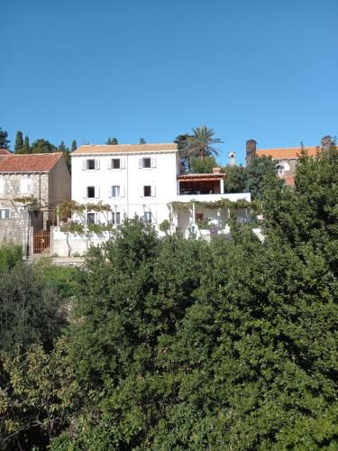 Villa Sea Dream Koločep 3