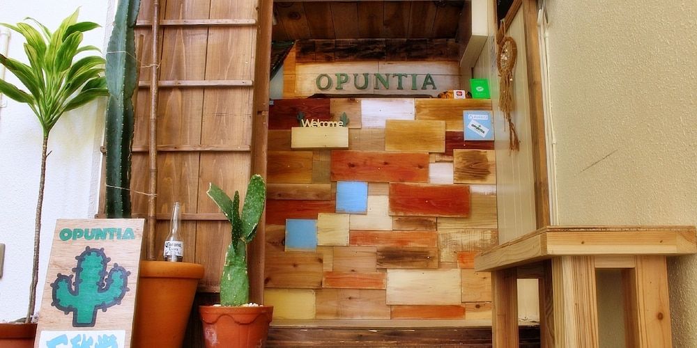 Guesthouse Opuntia - Hostel
