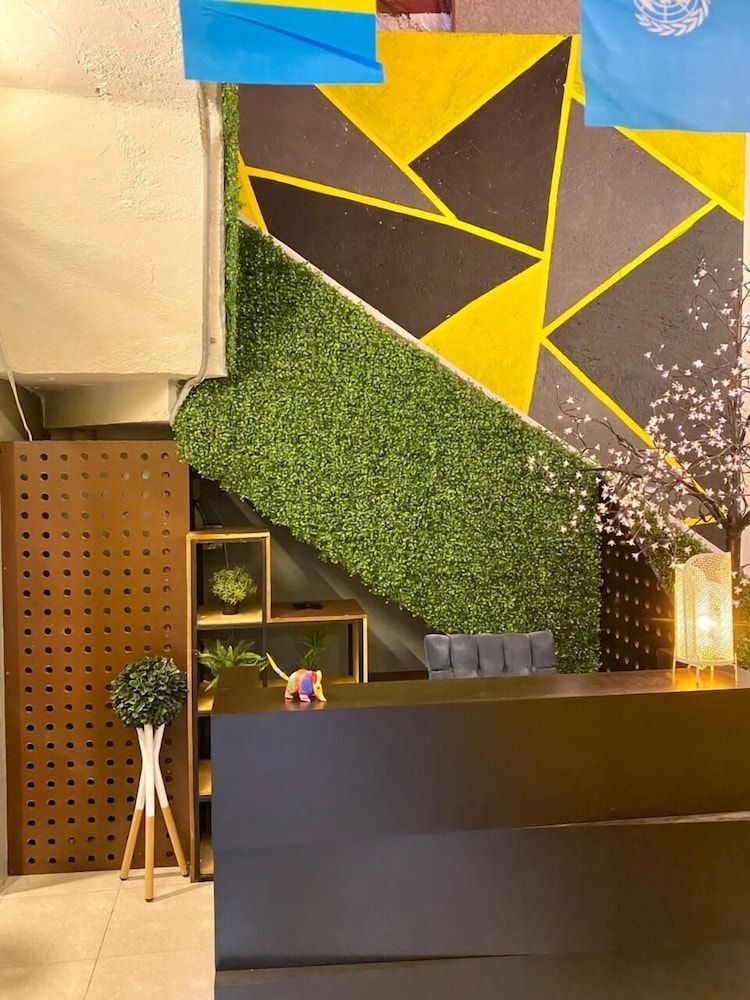 Roomies Hostel Parque Mexico 3