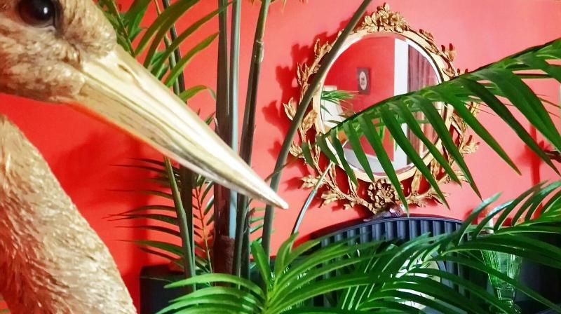 Little Robin Bed And Breakfast 2