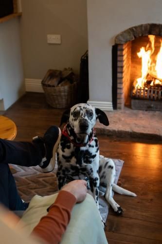 Tully Mill Cottages 2