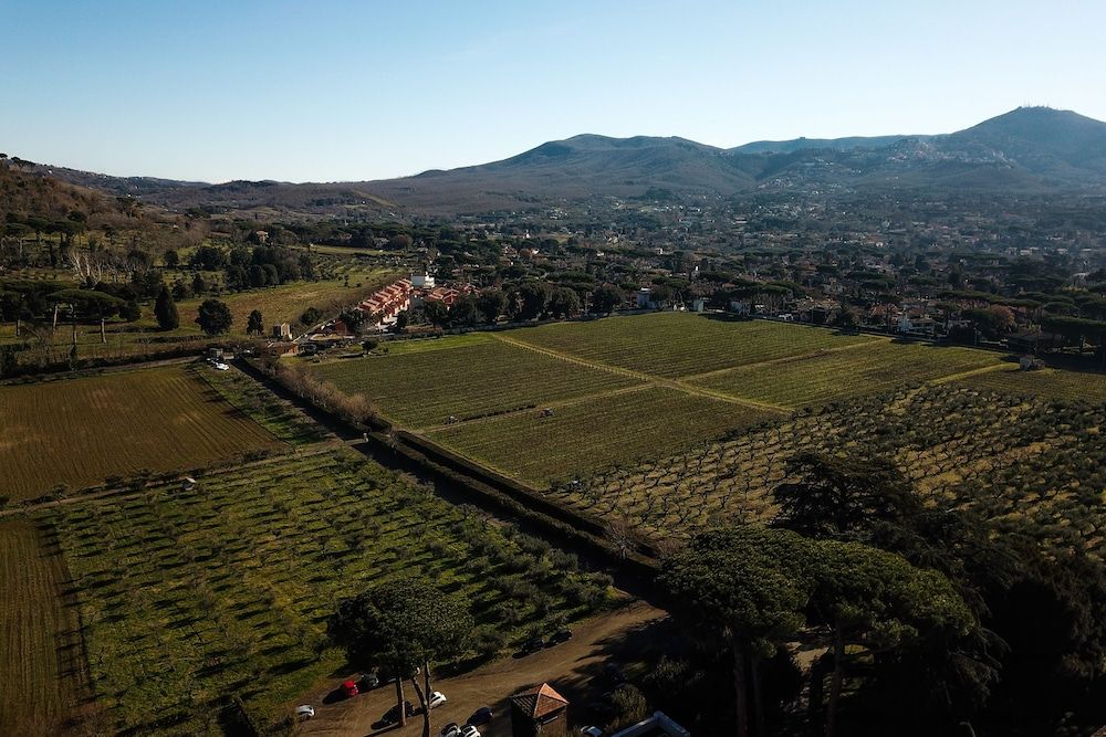 Villa Cavalletti Camere 1