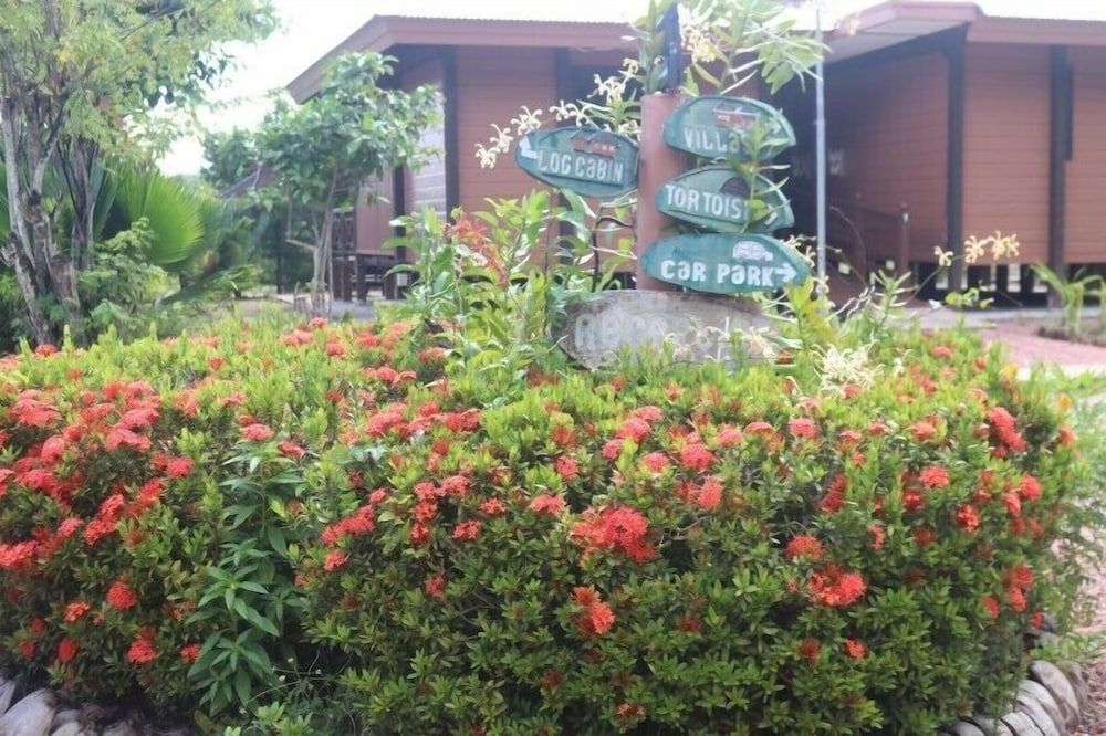 Heliconia Grove 3