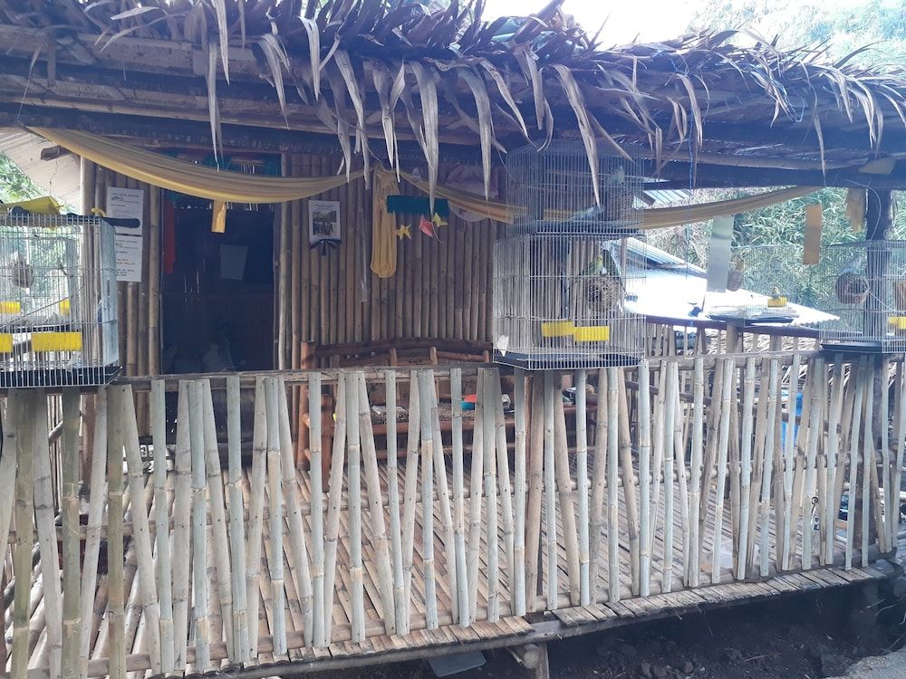 Singalong Nature Camphill Site 3