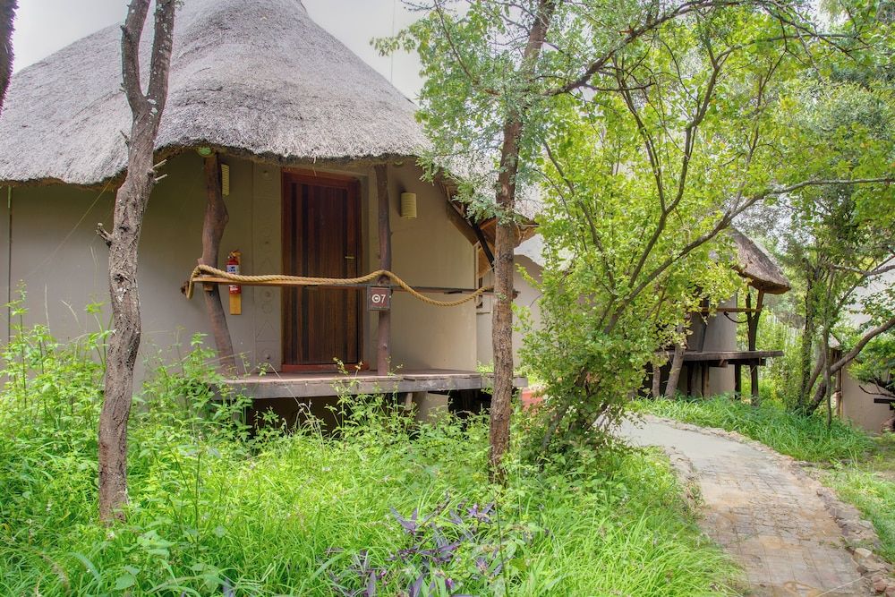 Warthogs Bush Lodge 3