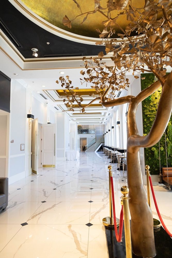 Chez Hotel Arlington Heights 2