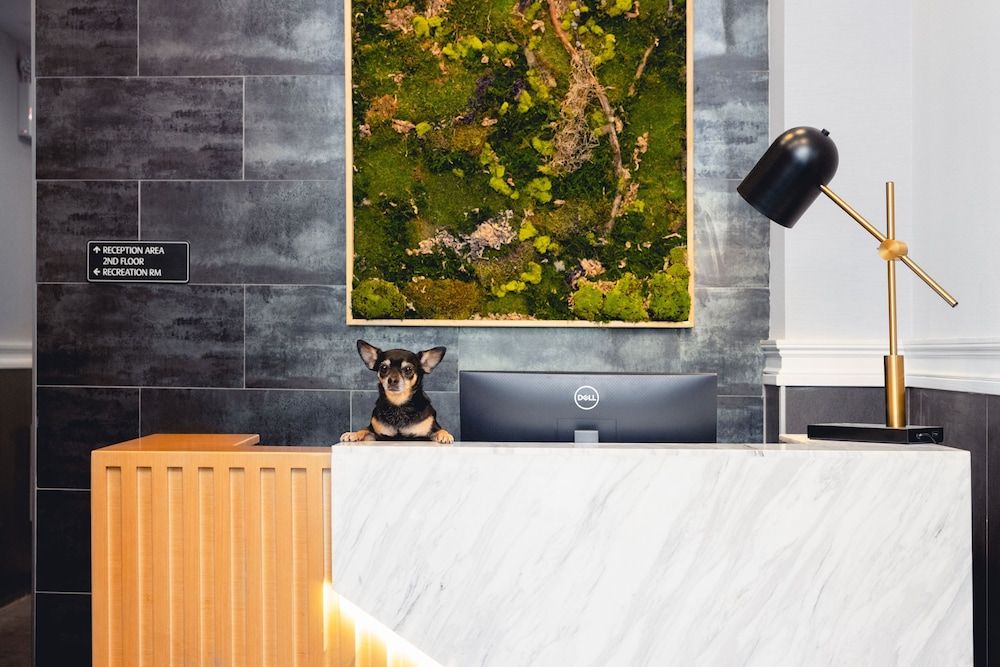 The Modernist Hotel 3