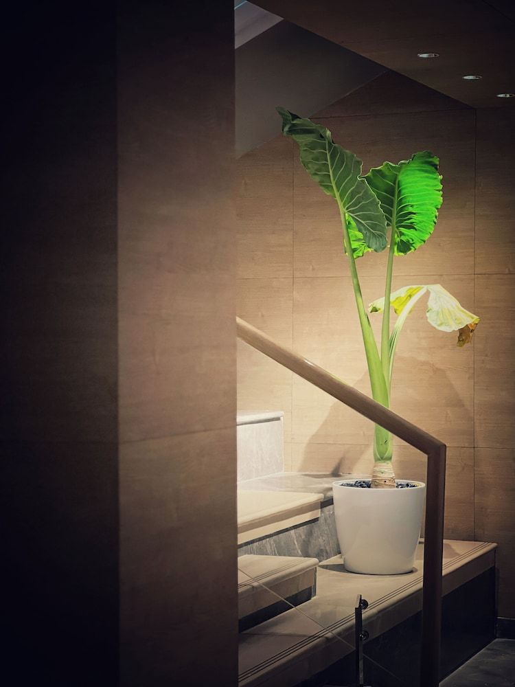 Hyatt Place Vijayawada 3