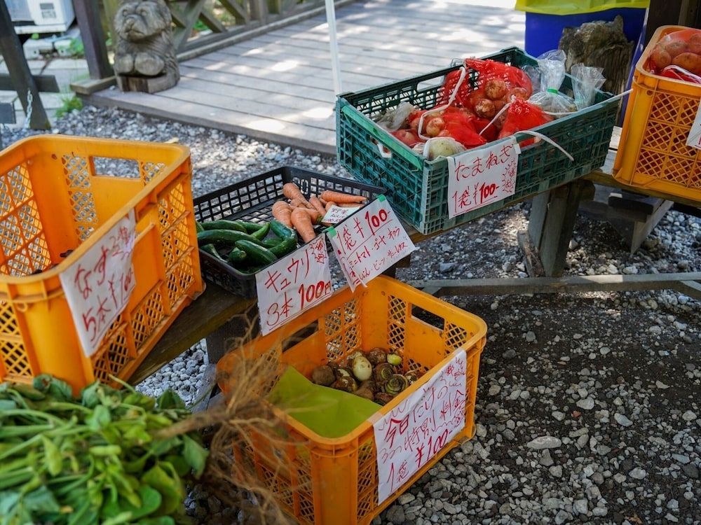 Shimizu Kuniaki’s Paradise of Forest and Lake 3