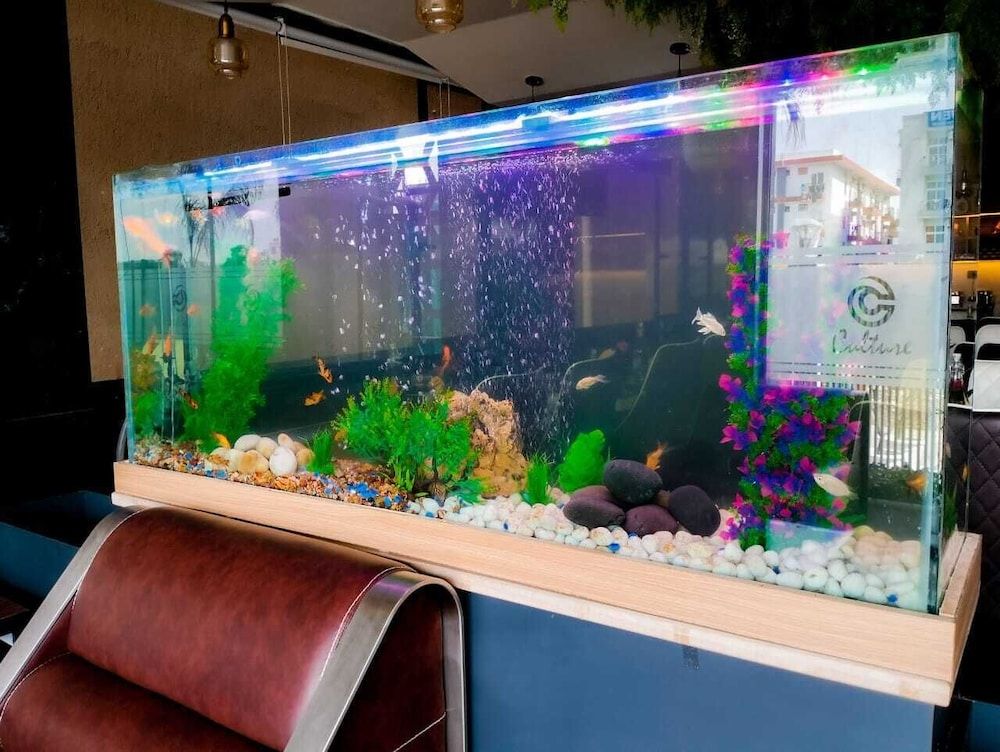 Culture by BVH Hospitality Greater Noida 2