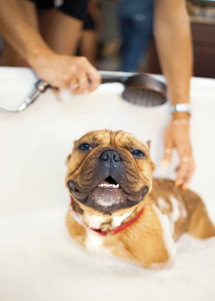 Naturally Pacific Resort 4 estrelas em Campbell River