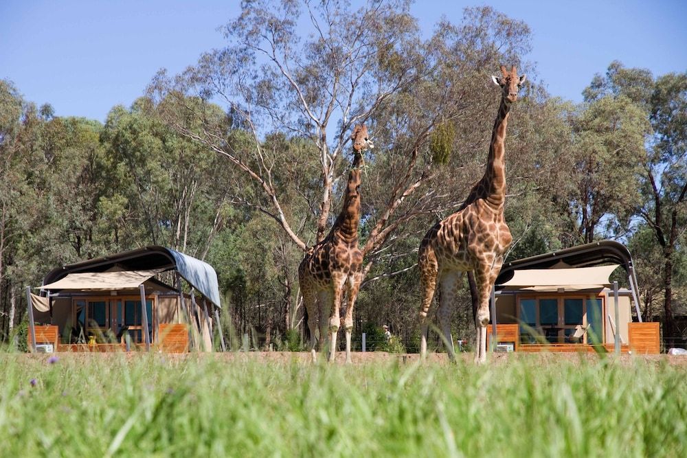 Zoofari Lodge at Taronga Western Plains -1 estrellas en Dubbo
