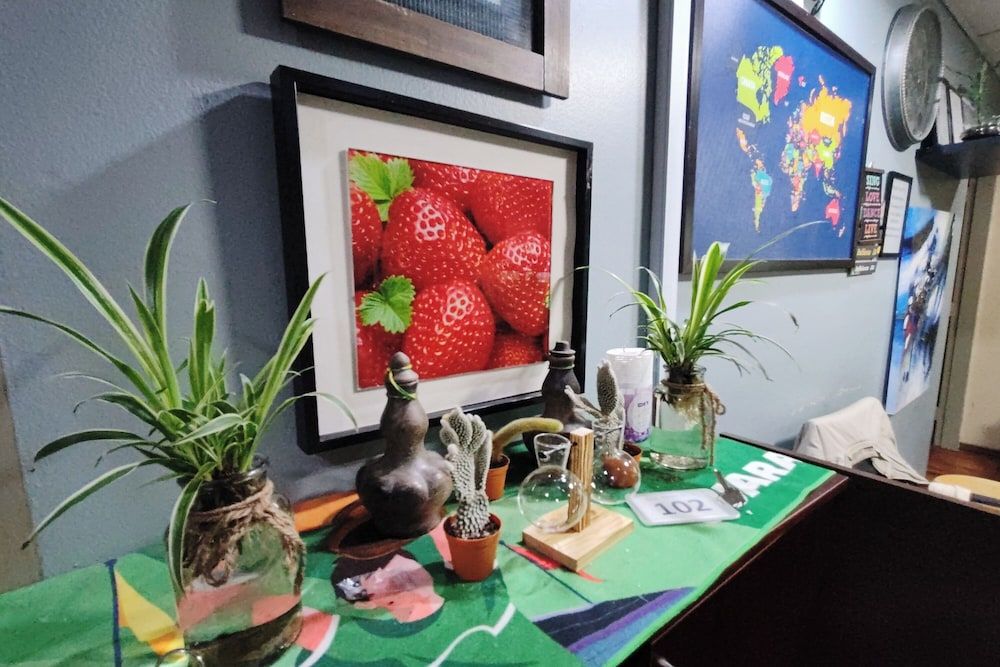 Hotel Check Inn 2 Cameron Highlands 3