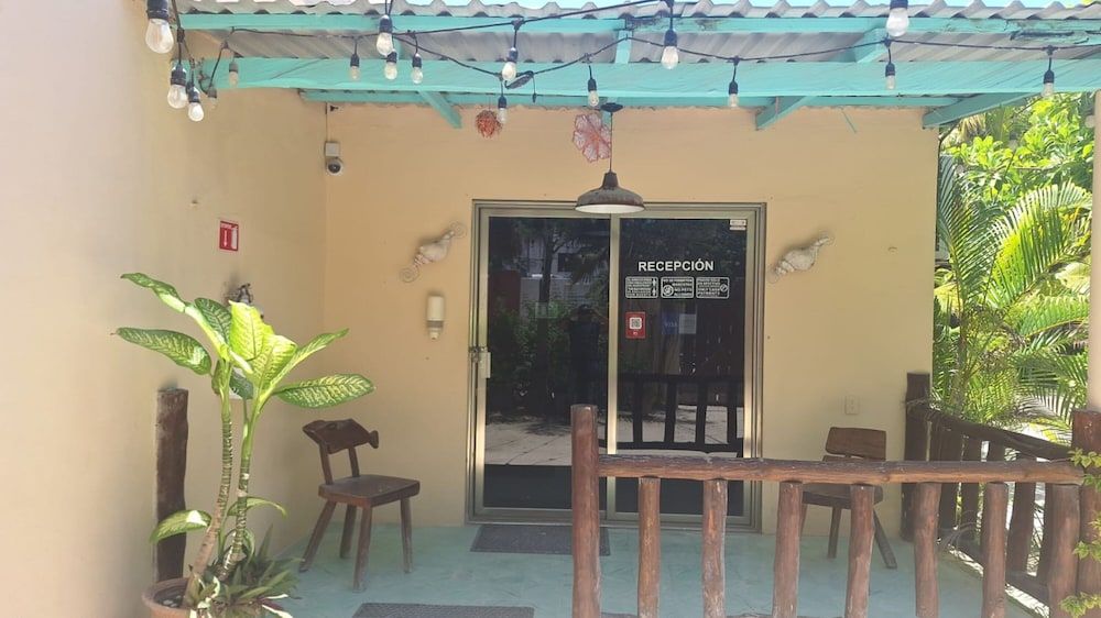 Coconut by ÓOL Hotels 2