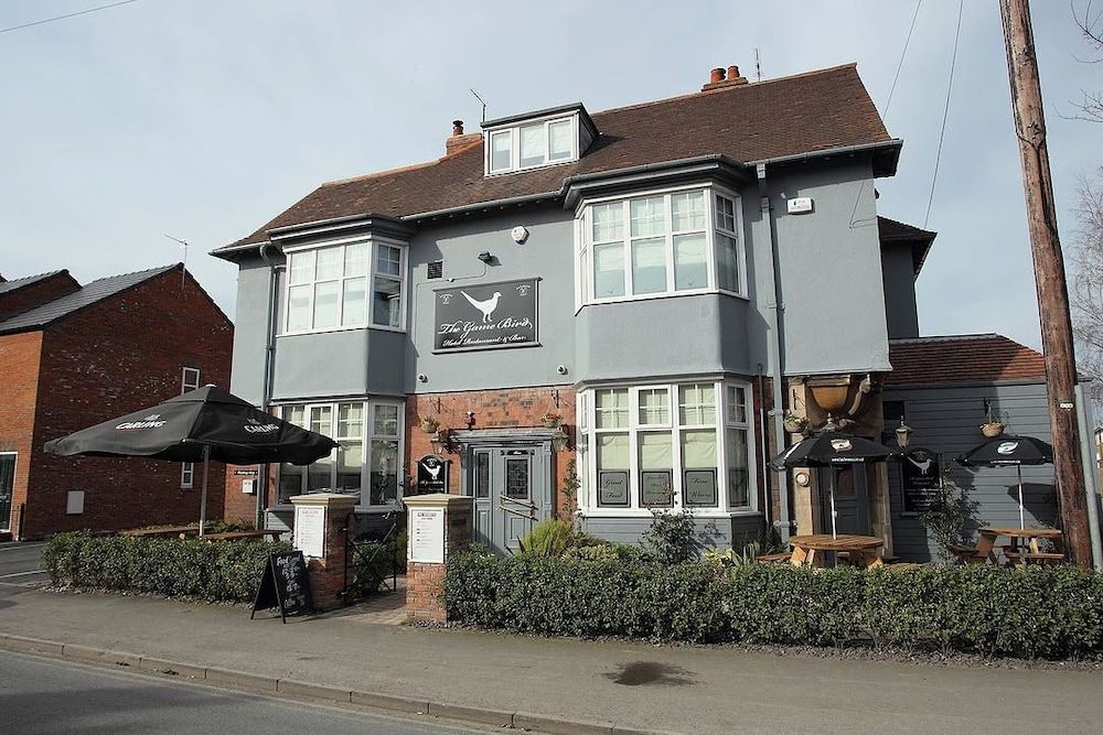 The GameBird Beverley