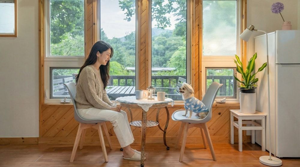 Hongcheon Lime Orange Pension 2