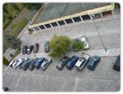 Curia Clube+Cruzeiro em barco típico Moliceiro por Aveiro